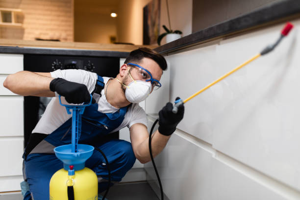 Best Commercial Pest Control Services  in La Plata, MO
