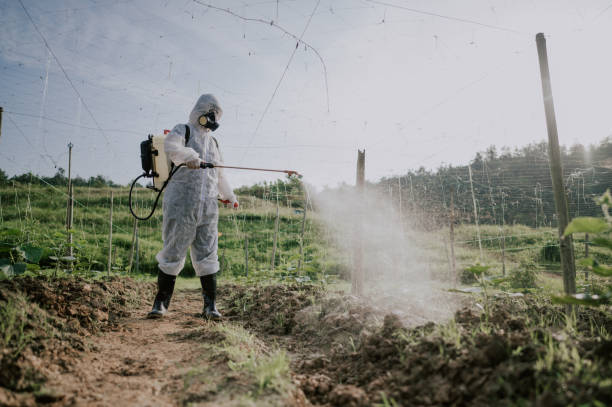 Best Best Pest Control Companies  in La Plata, MO