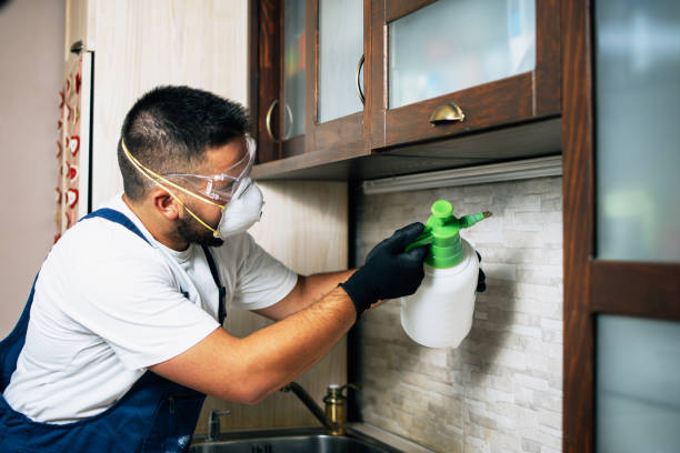 Best Rat Extermination Near Me  in La Plata, MO